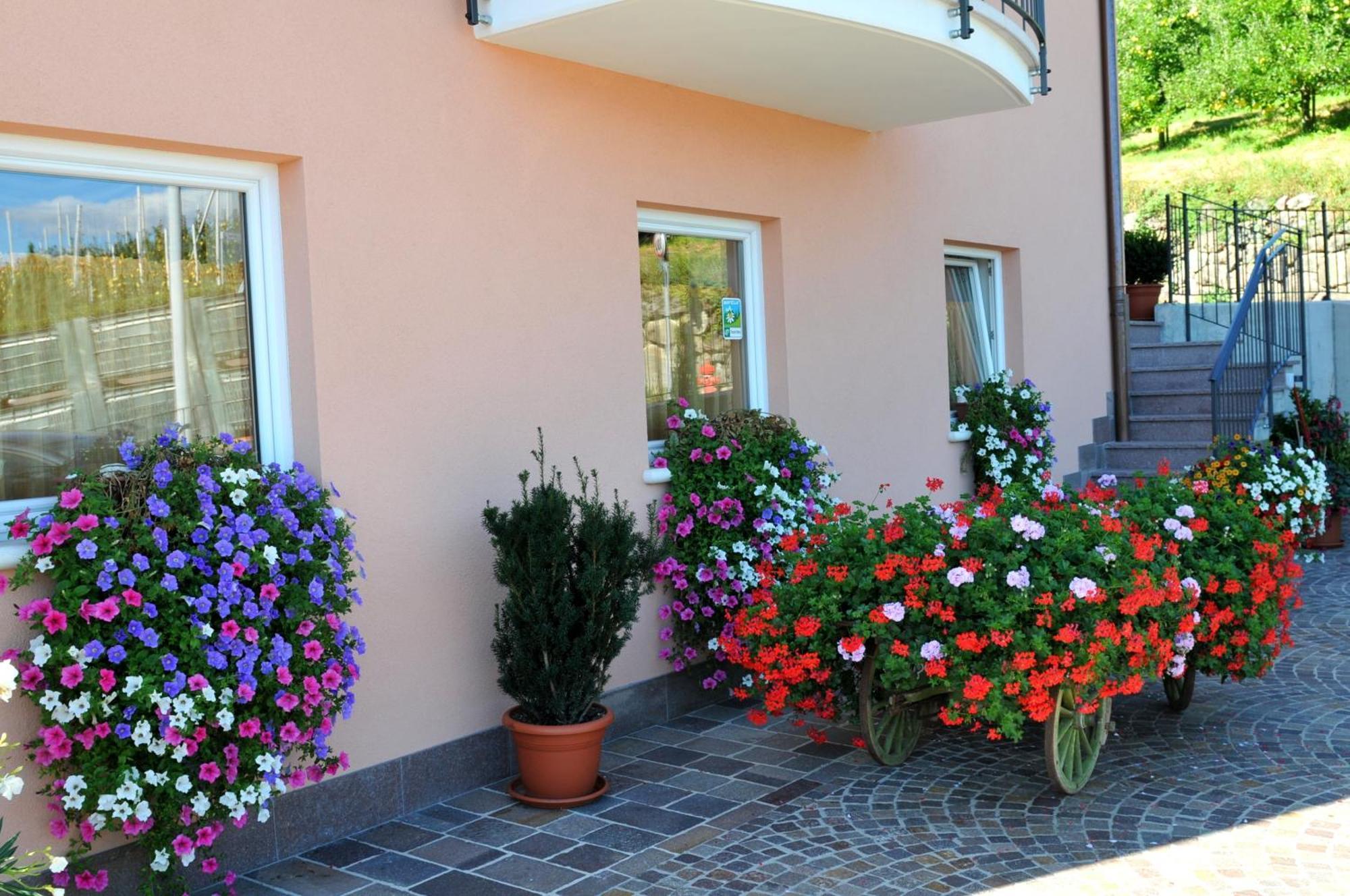 Agritur Le Pergolette Villa Tassullo Exteriör bild